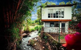 Rainforest Cabin In Escazu